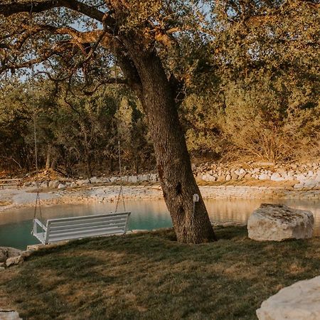 Nest - Texas Tiny House With A Big View Vila Spring Branch Exterior foto